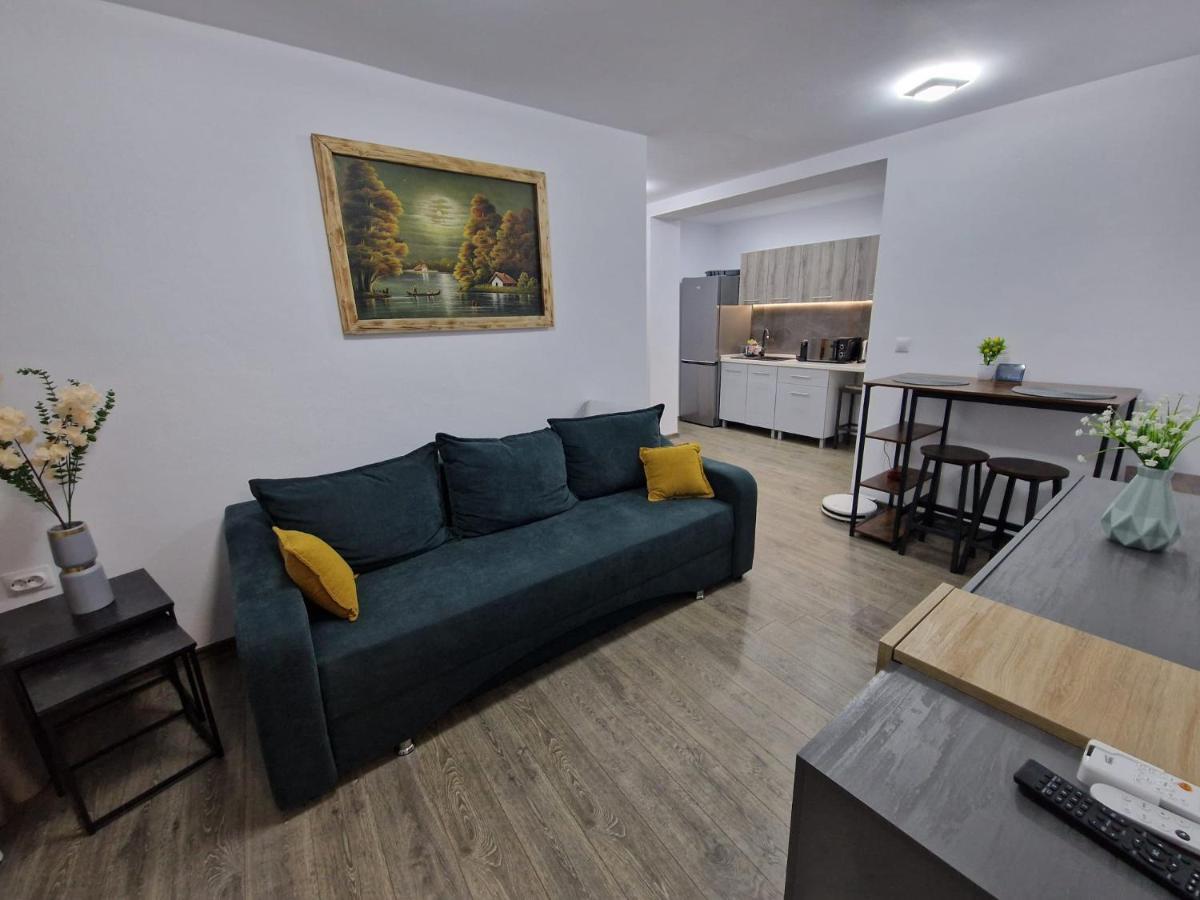 Home Studio Sighişoara Esterno foto